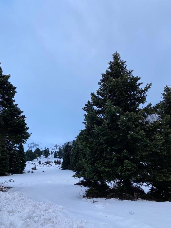 Mezonetes Helmos Appartement Ano Lousoi Buitenkant foto